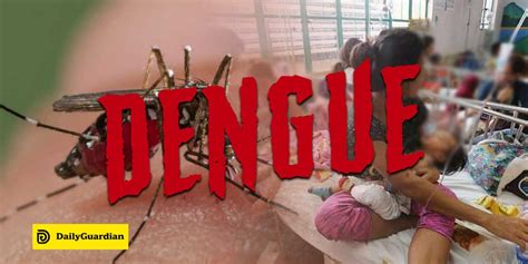 hotels in iloilo city|Iloilo logs 11 dengue fatalities in August .